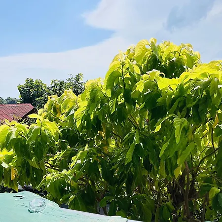 Tanouy Garden Villa Baan Khai Exterior photo