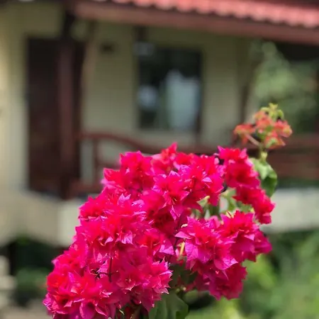 Tanouy Garden Villa Baan Khai Exterior photo