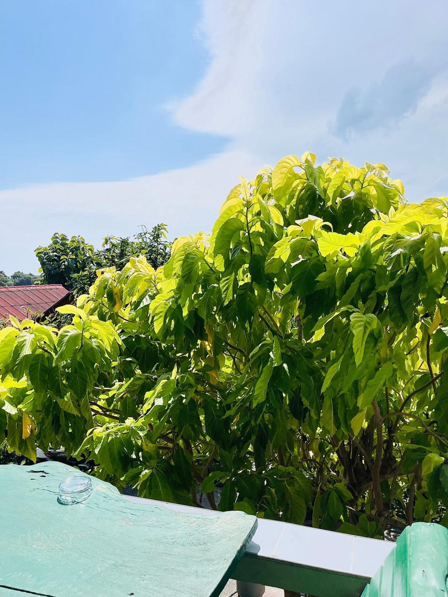 Hébergement de vacances Tanouy Garden Baan Khai